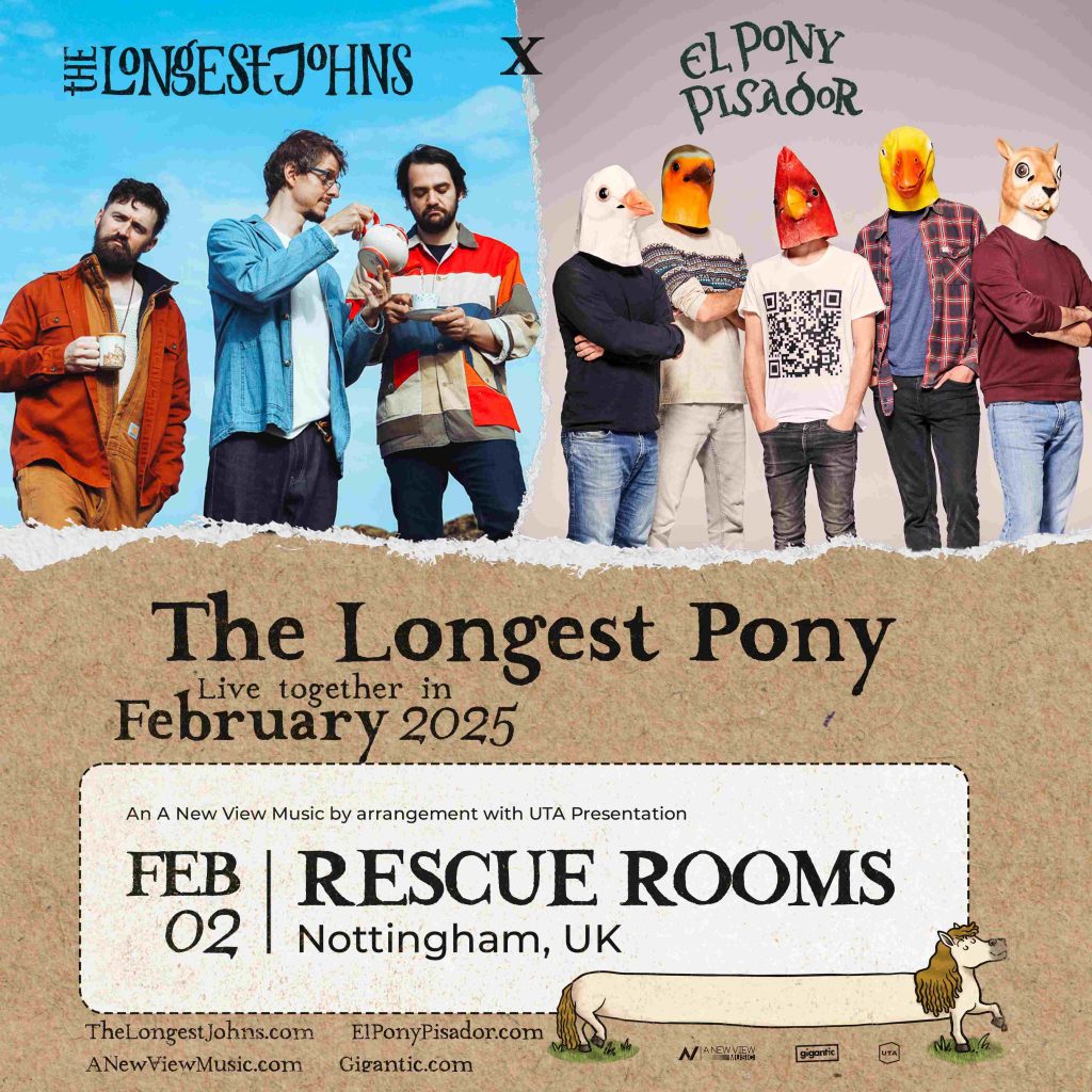 THE LONGEST PONY POSTER